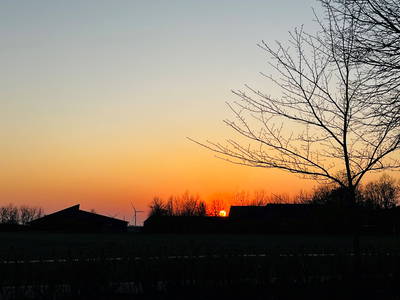 Bild 75 aus  Lindenhof