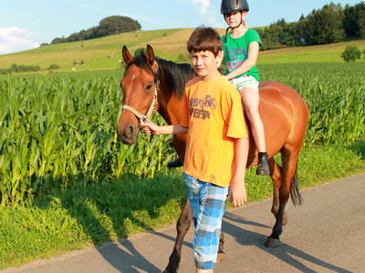 Bild 7 aus  Wiesenberghof