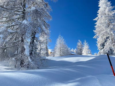 Bild 36 aus  Ferien am Talhof