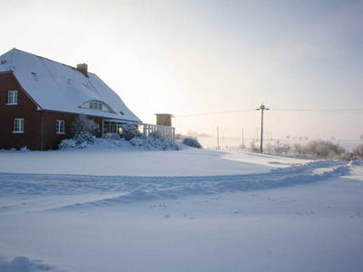 Bild 9 aus  Pferdehof Ruhnau FN