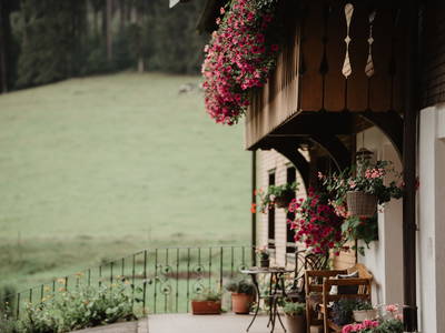 Bild 36 aus  Griesbachhof