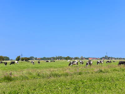 Bild 19 aus  Ennenhof