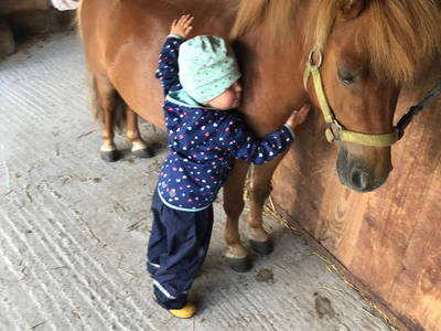 Bild 42 aus  Ferienhof Schlünzen