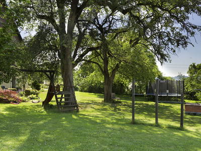 Bild 12 aus  Bio-Obstgut Oberhof