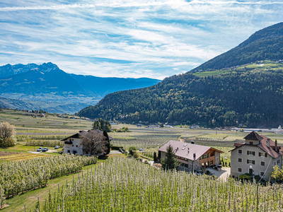 Bild 5 aus  Pröfinghof
