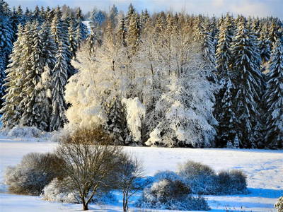 Bild 12 aus  Holzhäusl am Nationalpark