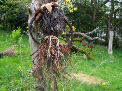 Bild 18 aus  Grashöfle