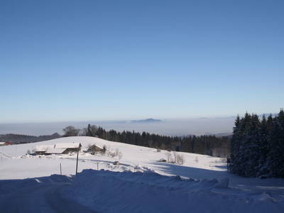 Bild 37 aus  Herbstbauernhof