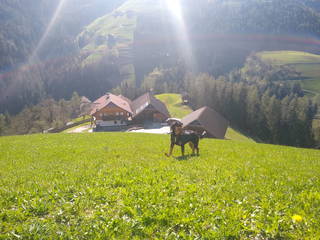 Gschliererhof aus St. Lorenzen