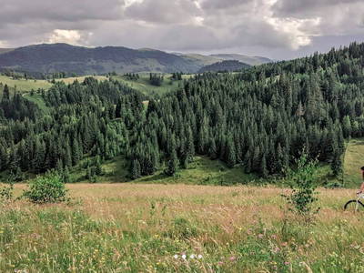 Bild 16 aus  Ferienhof Gomm