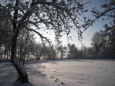 Bild 23 aus  Schloss Neuhausen