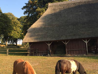 Bild 12 aus  Dreiseithof Schmadebeck