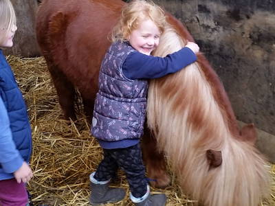 Bild 4 aus  Schellen Hof