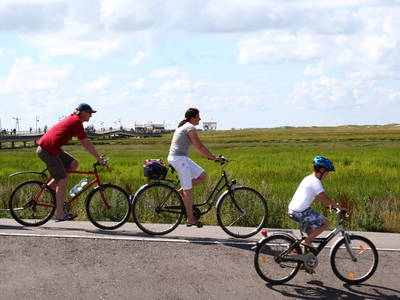 Bild 63 aus  Ferienhof Peter -  Ponys - streicheln, striegeln, füttern  -  Wattwanderungen + ganz viel Nordsee