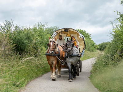 Bild 3 aus  Nengshof – Natururlaub in der Eifel
