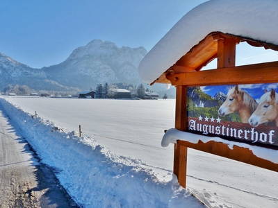 Bild 41 aus  Augustinerhof