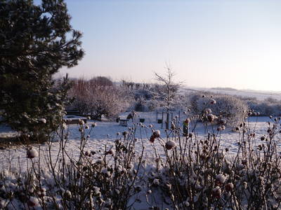 ... auch im Winter wunderschön