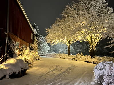 Bild 72 aus  Lindenhof