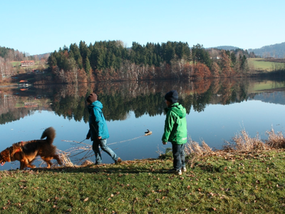 Bild 25 aus  BioFerienhof Höfler