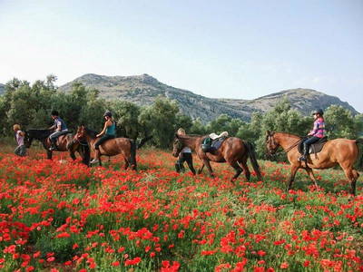 Bild 11 aus  Cortijo Los Lobos