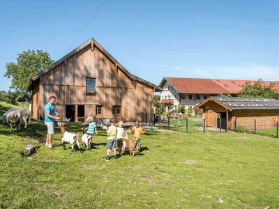 Bild 38 aus  Huberhof