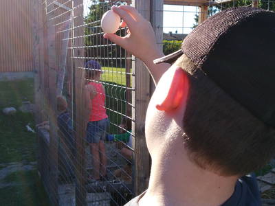 Bild 71 aus  Ahoi Ostsee:  Bauernhof und OstseeUrlaub - Ferienhof Becker in Dahme