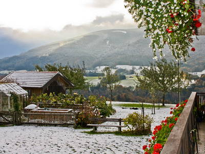 Bild 28 aus  Bauernhof Rupertiblick