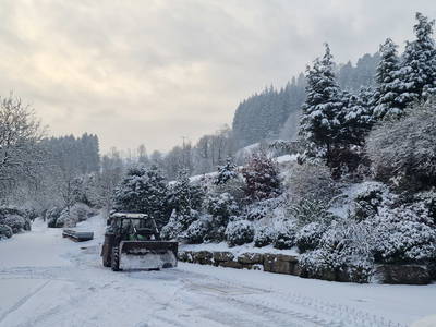 Bild 65 aus  Langenhof im Schwarzwald bei Oppenau