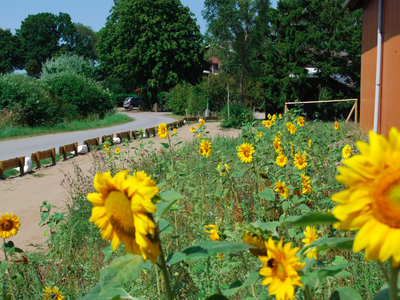 Bild 19 aus  Ahoi Ostsee:  Bauernhof und OstseeUrlaub - Ferienhof Becker in Dahme