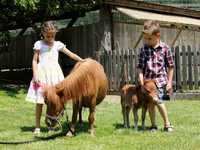 Bild 8 aus  LandSelection Landgut Moserhof