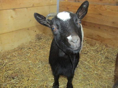 Bild 24 aus  Fillhof