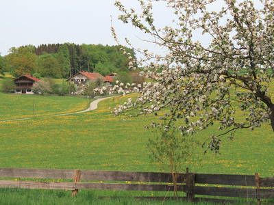 Bild 11 aus  Doasahof