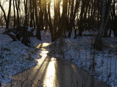 Bild 35 aus  Erlenhof im Oderbruch - Rund ums Schaf