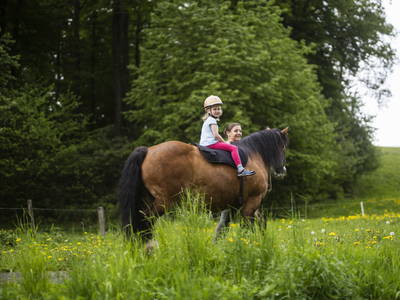 Bild 21 aus  Ferienhof Schade