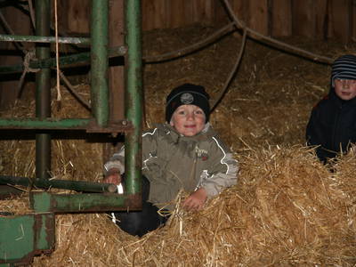 Bild 8 aus  Bauernhof Wehrhoff