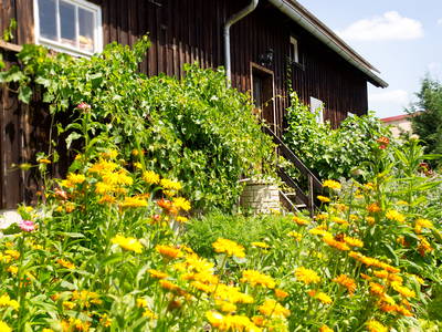 Bild 9 aus  Schlossgut - Franken