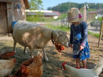 Bild 4 aus  Ferienhof Bentele