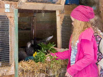 Bild 10 aus  Hof Letsch