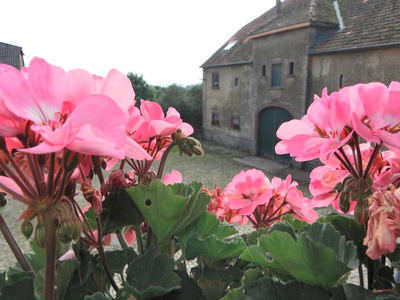 Bild 10 aus  Gutshof Hungerburg