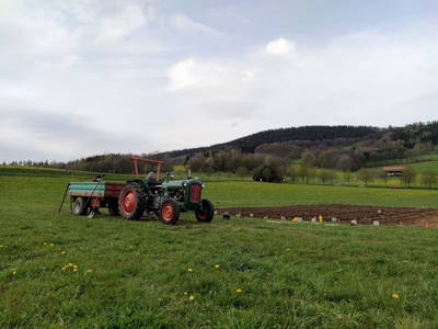 Grünes Klassenzimmer Laudenbach- gemeinschaftlicher Kartoffelacker , nahe der Hohen Klinge