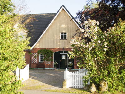 Bild 2 aus  Idyll an der Schlei