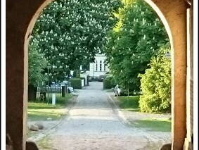 Bild 44 aus  FerienGut Dalwitz     www.feriengutdalwitz.de