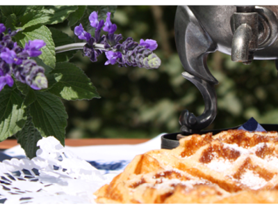 Bild 18 aus  Bauerngut Schiefelbusch