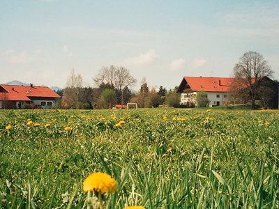 Bild 4 aus  Reicharthof