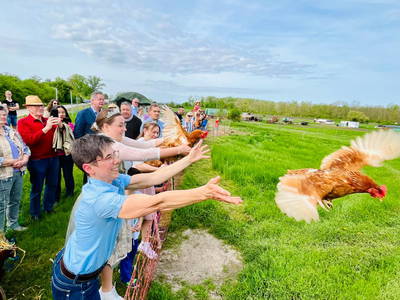 Bild 21 aus  Landhaus-Apartments