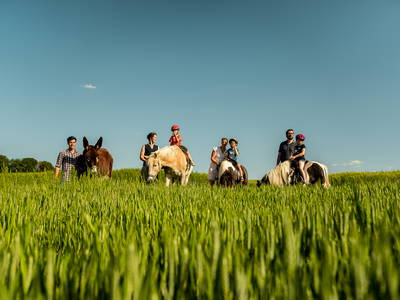 Bild 6 aus  LandSelection Grieshof
