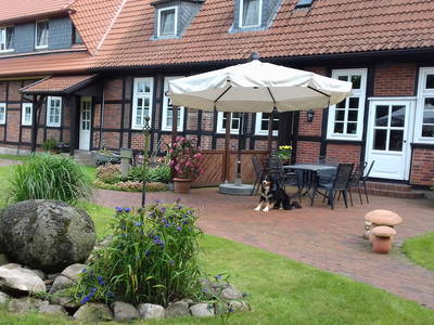 Bild 4 aus  Theeshof