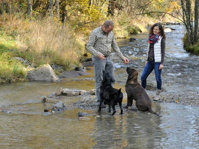 Bild 16 aus  LandSelection Landgut Moserhof