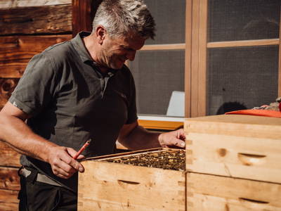 Bild 39 aus  Martenhof