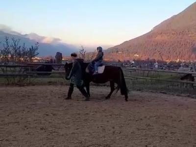 Bild 24 aus  Bichlerhof